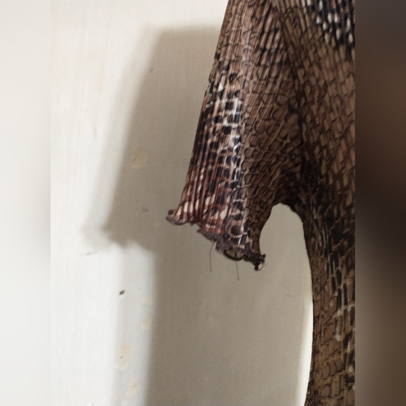 Brown Animal Print Dress - Picture 7 of 9